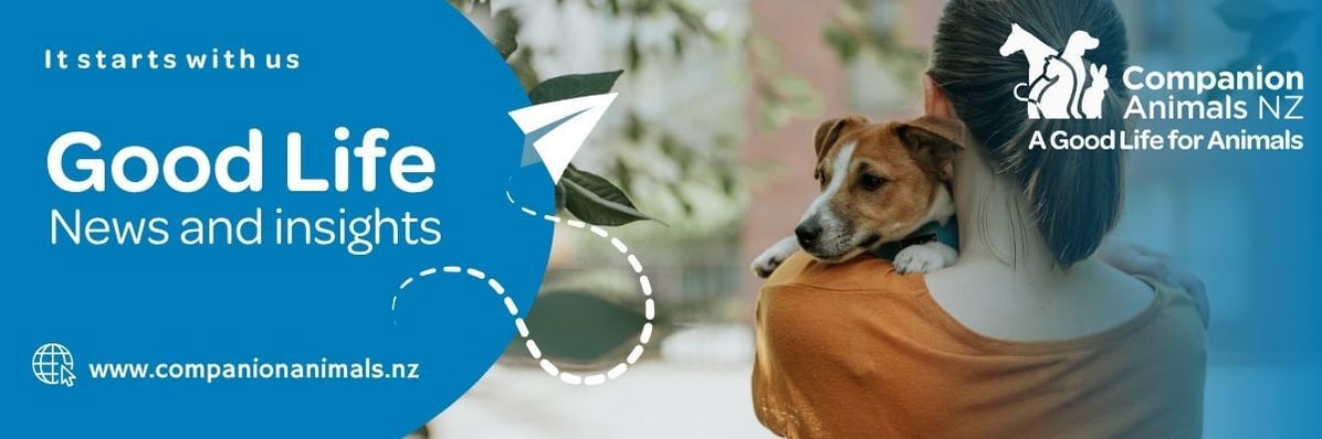 Newsletter banner