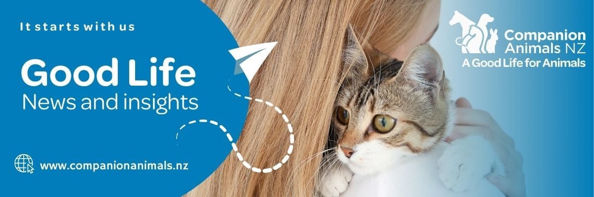 Good Life News and Insights