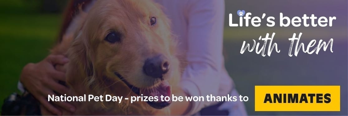 Happy dog and text 'Life's better with them'