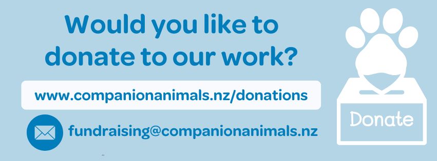 Companion animals donation banner