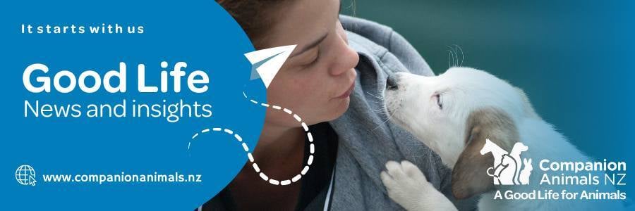 Good Life email banner