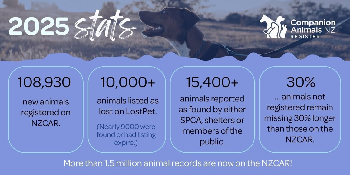 NZCAR 2025 Stats image