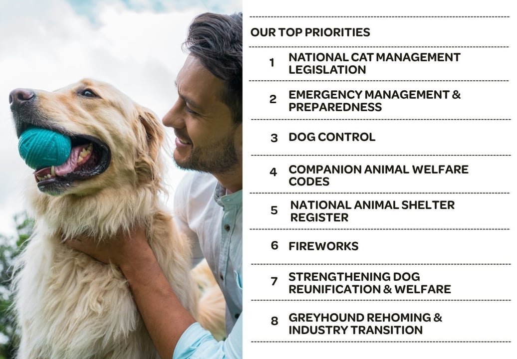 Political Manifesto