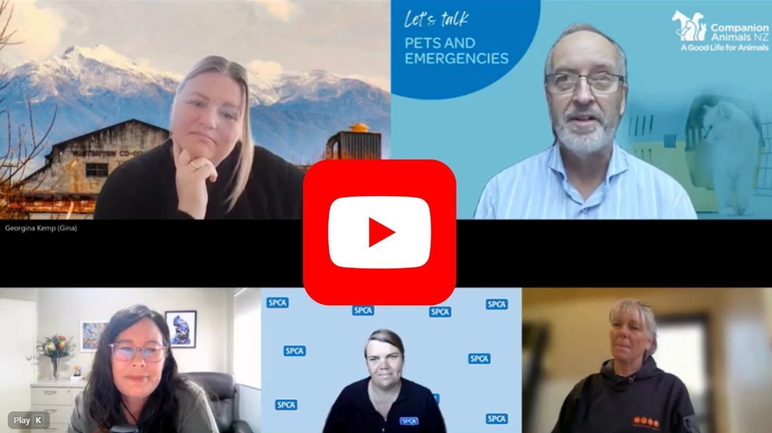 Video screenshot of pets and emergencies panel